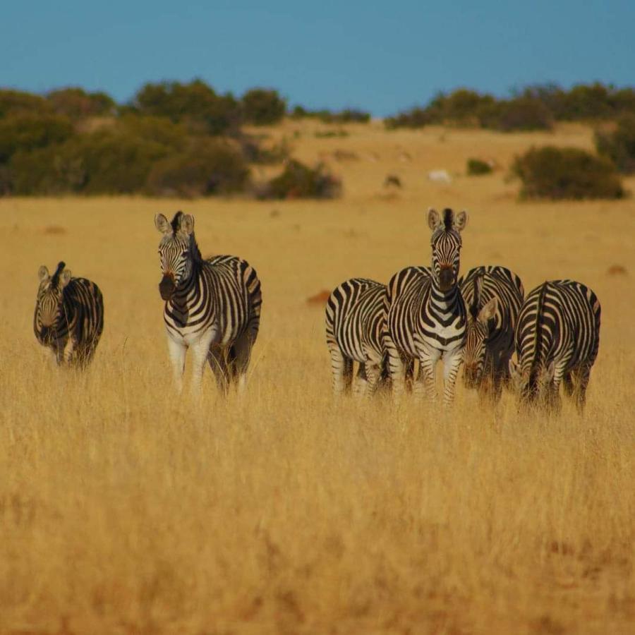 Letsatsi Game Lodge Smithfield Exterior photo
